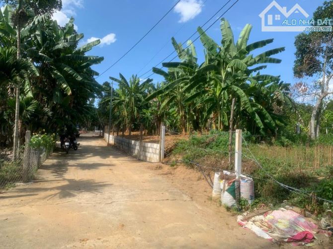 📌📌📌Làm việc trực tiếp!!! Bán lô đất rộng rãi xã Hòa Phú, huyện Hoà Vang giá rẻ 🍀 - 1