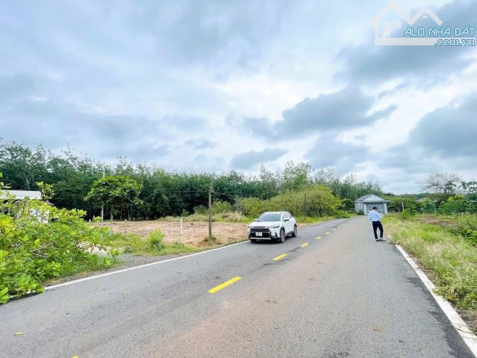 Cần bán gấp lô đất 1200m2 có 100m2 đất ở đường nhựa mặt đường 10m chỉ 350 triệu - 1