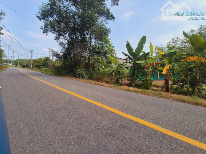 Bán đất thổ cư mặt tiền kinh doanh xã An Nhơn Tây Củ Chi TPHCM, DT: 10x20m. - 1