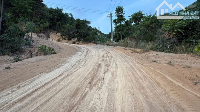 Bán đất rừng 7,9 ha núi Cù Hin, xã Cam Hải Đông, huyện Cam Lâm, Khánh Hoà - 2