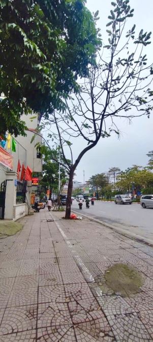 Bán đất Cổ Linh, gần Aeon, ô tô, 62m2, mặt tiền 4m, giá nhỉnh 10 tỷ. - 2