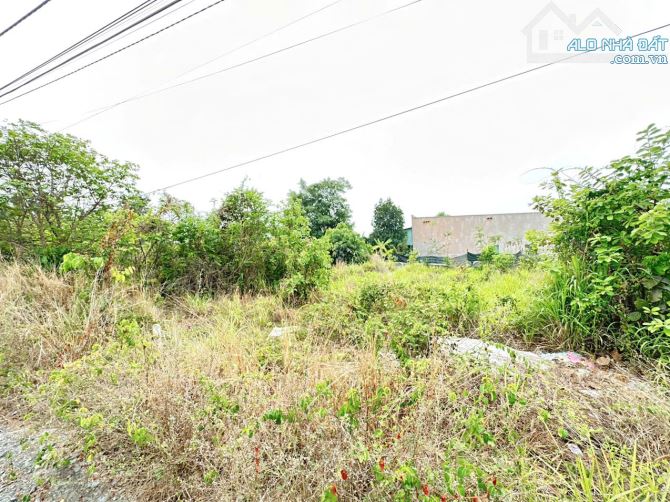 Bán lô đất sổ riêng chưa qua đầu tư gần chợ thanh hoá kp4 trảng dài - biên hoà - 2