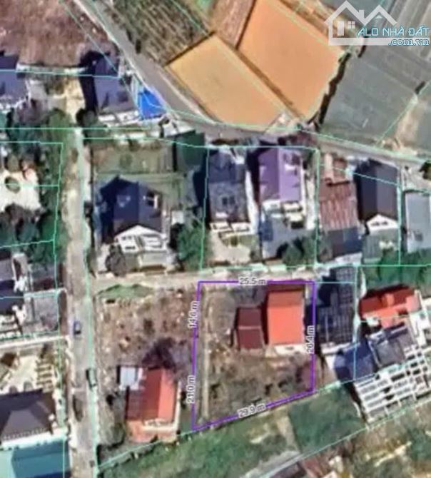 BÁN LÔ ĐẤT VÀO MẶT PHÙ ĐỔNG THIÊN VƯƠNG - ĐẤT GỐC 350m² NGANG 12m - CHỈ 10 TỶ! - 2