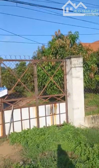 Cần bán lô đất thị xã trảng bàng 638m vuông - 2