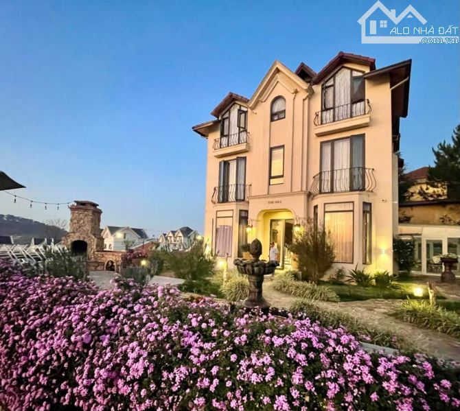 Bán 9.465m2 đất đã có 8.360m2 đất thổ cư view đồi thông đẹp giá chỉ 10/m2 - 2
