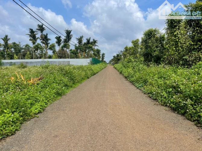 ✅‼️CẦN BÁN GẤP 01 LÔ THỔ CƯ TUYỆT ĐẸP (EA TU-TP BUÔN MA THUỘT) - 2