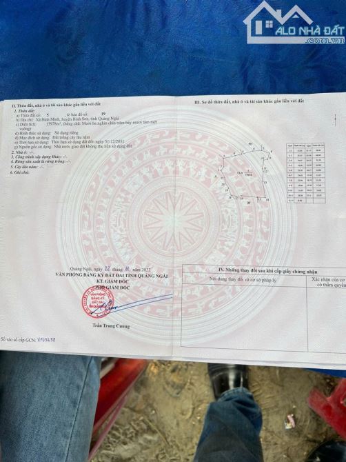 Bán mảnh đất rộng 47000 mét vuông tại Bình Minh Bình Sơn - 3