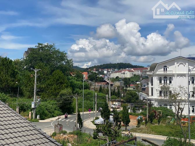 Bán Biệt Thự Mặt Tiền Đường Tô Hiến Thành - View Siêu Xịn Sò Diện Tích 146m2 - 11 Tỷ - 3