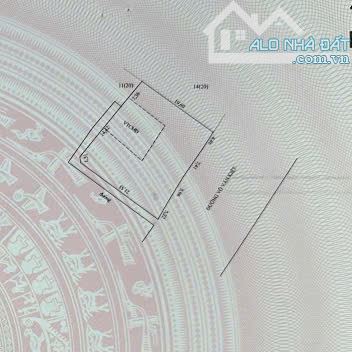 MẶT TIỀN ĐƯỜNG VEN BIỂN 42M ( VŨNG TÀU BÌNH CHÂU) - THỊ TRẤN PHƯỚC HẢI - ĐẤT ĐỎ - BRVT - 3