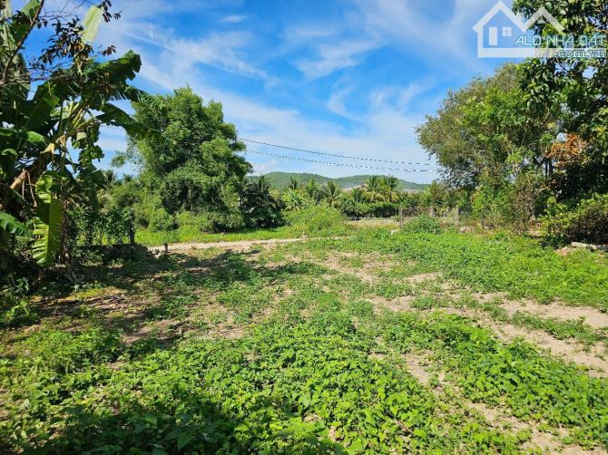 Bán đất Diên Phước View hồ mát mẻ đường thông gần Hương Lộ 39 - 3