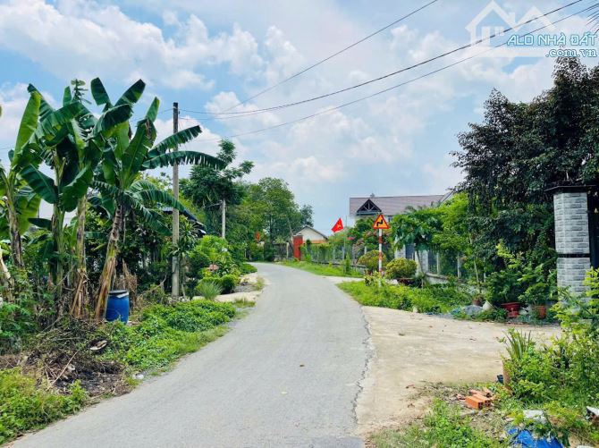 VỠ NỢ VÌ MÊ CỜ BẠC CHỦ CẮT LỖ BÁN GẤP LÔ ĐẤT 407M2 GIÁ 750TR XÃ THÁI MỸ HUYỆN CỦ CHI - 3