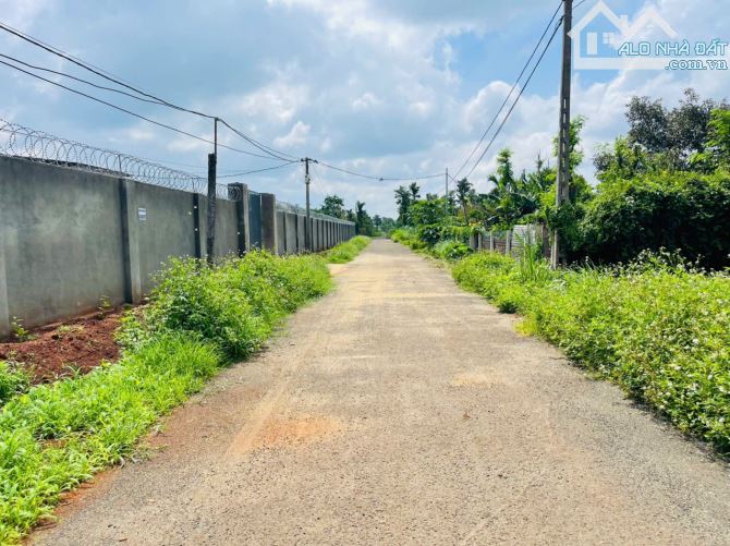 ✅‼️CẦN BÁN GẤP 01 LÔ THỔ CƯ TUYỆT ĐẸP (EA TU-TP BUÔN MA THUỘT) - 3