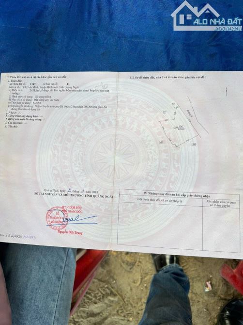 Bán mảnh đất rộng 47000 mét vuông tại Bình Minh Bình Sơn - 4