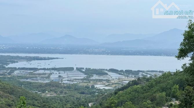 Bán đất rừng 7,9 ha núi Cù Hin, xã Cam Hải Đông, huyện Cam Lâm, Khánh Hoà - 4