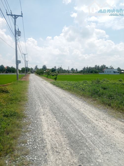 197M2 ĐẤT MẶT TIỀN GẦN CHỢ RẠCH KIẾN TRỌN GÓI 1 TỶ 5 - 4
