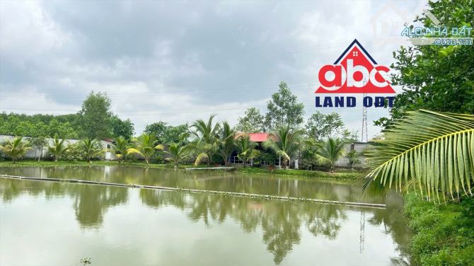 Chuyển nhượng nhà xưởng sản xuất 21.000m2 thuộc xã Tân An Huyện Vĩnh Cửu Đồng Nai giá rẻ - 5