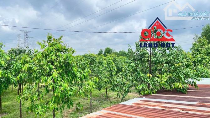 X086 CHUYỂN NHƯỢNG NHÀ XƯỞNG KHUÔN VIÊN RỘNG HƠN 2 MẪU - VĨNH CỬU, ĐỒNG NAI - 5