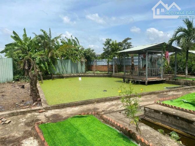 Bán Biệt thự nhà + vườn ấp Lộc Tiền, Xã Mỹ Lộc, Cần Giuộc: 1032m2 - 5