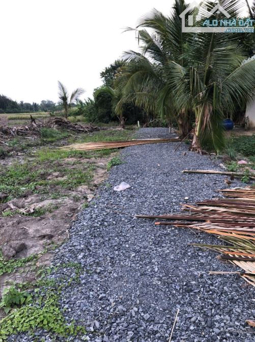 Ngộp bán gấp đất, nhà vườn mặt tiền sông Phú Hữu Nhơn Trạch, giá rẻ,thổ cư,OTO.GỌI NGAY 24 - 6