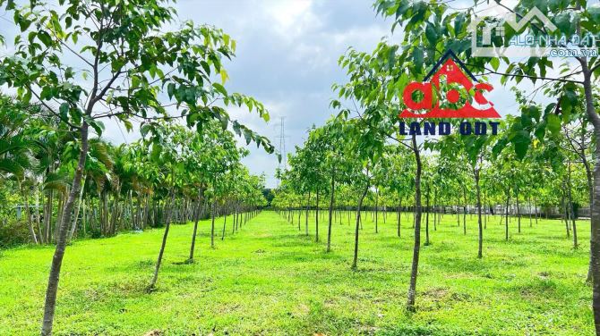 Chuyển nhượng nhà xưởng sản xuất 21.000m2 thuộc xã Tân An Huyện Vĩnh Cửu Đồng Nai giá rẻ - 6