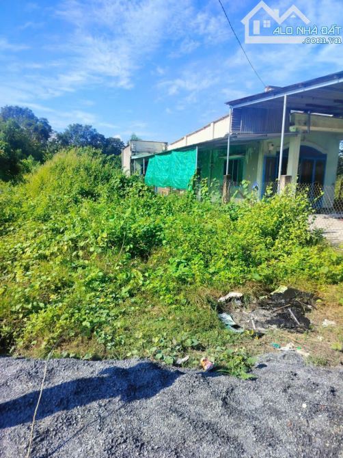 Bán Đất mặt tiền Đường Nhựa, thường tân 18 Tân Uyên Bình Dương, 9m X 35m giá 2 tỷ 3 - 6