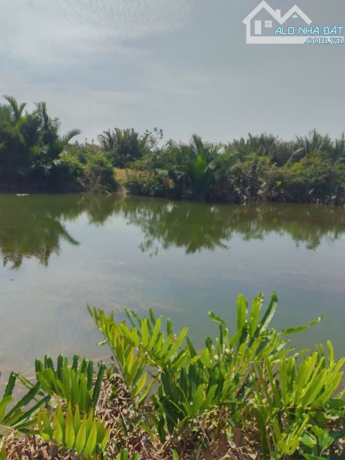 Ngộp bán gấp đất, nhà vườn mặt tiền sông Phú Hữu Nhơn Trạch, giá rẻ,thổ cư,OTO.GỌI NGAY 24 - 8