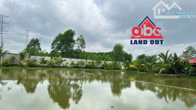 Chuyển nhượng nhà xưởng sản xuất 21.000m2 thuộc xã Tân An Huyện Vĩnh Cửu Đồng Nai giá rẻ - 8