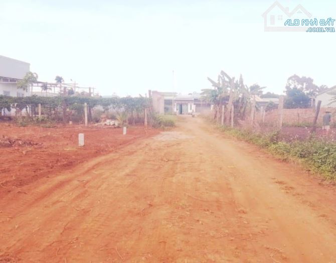 Bán Đất Nguyễn Nhạc P. Yên Thế, TP Pleiku, Gia Lai - 9