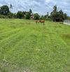 Cần bán 10.000m2 đất Ninh Thạnh, Tp Tây Ninh ( giá chỉ 6,5 tỉ )