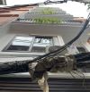 BÁN NHÀ PHỐ PHÁO ĐÀI LÁNG 54m X8 TẦNG - GIÁ: 14 TỶ