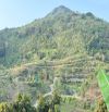 Bán đất rừng 7,9 ha núi Cù Hin, xã Cam Hải Đông, huyện Cam Lâm, Khánh Hoà