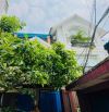 BIỆT THỰ BỀ THẾ SIÊU ĐẸP TÔN ĐẢN   NGANG KHÔNG THỦ 10 MÉT DÀI 15 MÉT HẠ KHÔNG PHANH TỪ 1