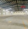 XT340 Cho thuê kho 12.000m2 trong kcn sóng thần 1 Mặt Tiền Đường DT743