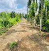 ✅‼️CẦN BÁN GẤP 01 LÔ THỔ CƯ TUYỆT ĐẸP (EA TU-TP BUÔN MA THUỘT)
