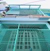 NHÀ 2 TẦNG TÂN BÌNH 3.9 TỶ: 4x8m, Lạc Long Quân, P10 - Hẻm 4m, yên tĩnh