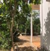 Siêu phẩm đất trục lớn tại Đá Bạc – 6 sào tiềm năng, giá chỉ 7 tỷ – pháp lý rõ ràng