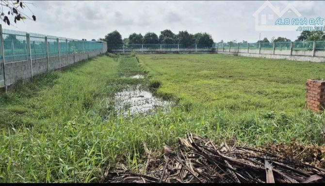 Bán đất 15x70m, gần đường Hồ Chí Minh, Xã An Ninh Đông, Đức Hòa, Long An. Giá 3 tỷ