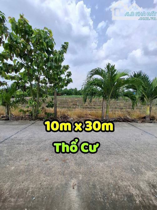 BÁN ĐẤT 10MX30 FULL THỔ - SHR - GIÁ 1 tỷ 7