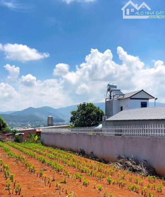 Chủ bán 505m2 ngay gần chợ Thăng Long. MT 14m, sẵn 100m2 thổ cư. View toàn Thị Trấn