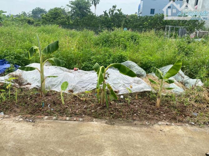 Bán đất Tam Thuấn - Phúc Thọ - Hà Nội – 67m² – Ô tô vào đất – Giá chỉ hơn 40 triệu/m²
