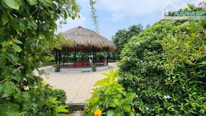 Nhà vườn 5.800m bán sỉ 11 tỷ. Ao cá + vườn cây + mặt tiền kinh doanh