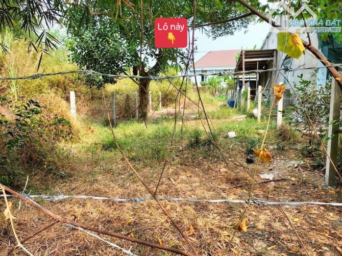 CHỦ HẾT KHẢ NĂNG TRẢ NỢ BÁN GẤP ĐẤT 147M² GIÁ 590TR MT SUỐI LỘ TÂN THÔNG HỘI CỦ CHI