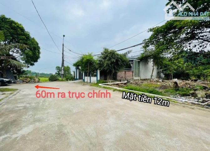 Cần bán lô đất 319m. mặt tiền 12m, sâu 26.5m. tại Cư Yên, Lương Sơn. giá chỉ 4,x tỉ