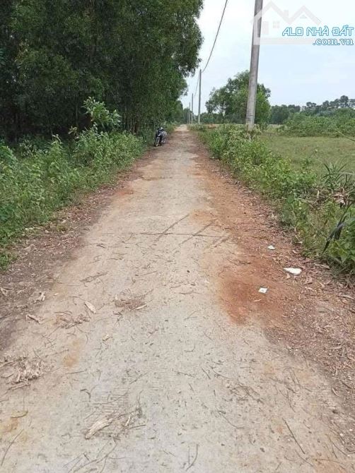 Đất Phân Lô Nhà Nước Gần KCN Quán Ngang – Cơ Hội Đầu Tư Sinh Lời Tại Gio Linh, Quảng Trị