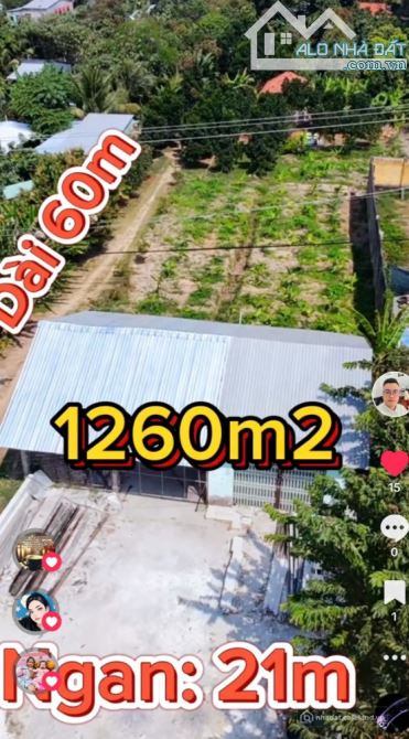 Bán gấp đất nền 1200m2 tại Đường N2, Mỹ Đông, Tháp Mười, Đồng Tháp