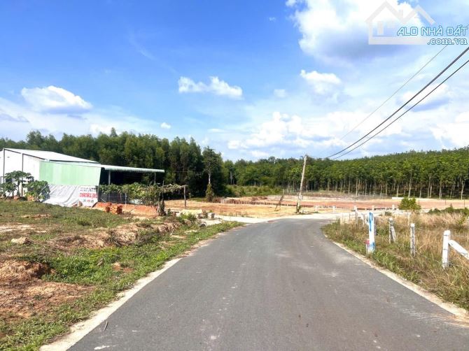 Bán gấp lô đất Đồng Nai  để trả nợ 250m2 có sẵn 100 thổ giá 220 triệu