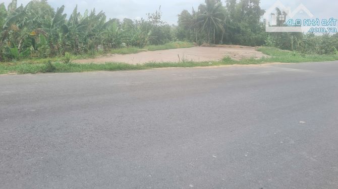 Cần bán khu đất lớn giáp đường tránh QL 30, gần ngã tư giao nhau đường ĐT 846. - 3