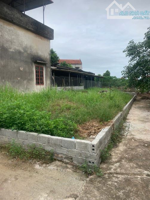 Chủ cần tiền bán 46m thôn Phi liệt. Chỉ 1,75 tỷ. Giáp KDT Xuân Câu, đê 378… - 1
