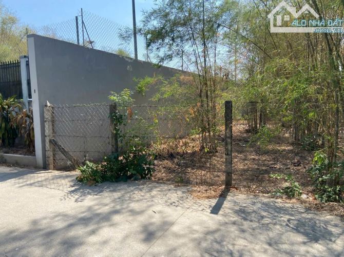 SIÊU RẺ! Bán  250m2 Đất Nhánh Đx91 Hiệp An, Thủ Dầu Một_Giá1Tỷ850 - 1