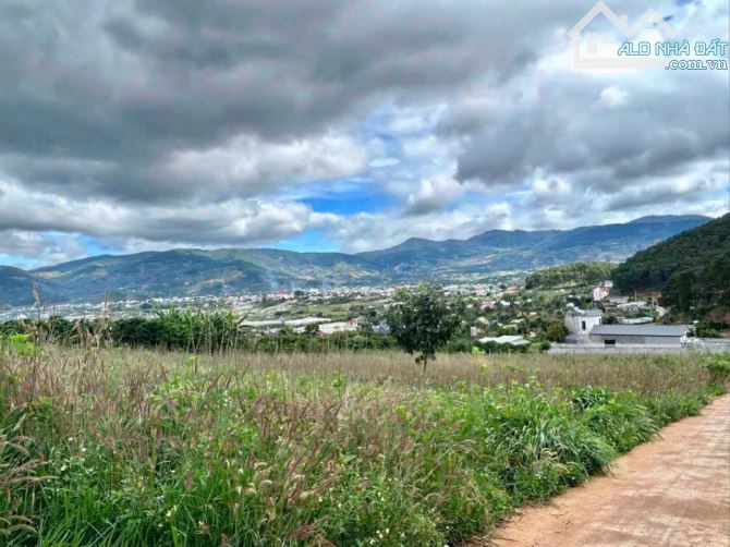 Chủ bán 505m2 ngay gần chợ Thăng Long. MT 14m, sẵn 100m2 thổ cư. View toàn Thị Trấn - 1